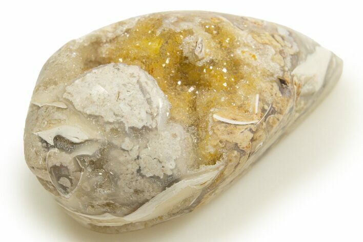 Chalcedony Replaced Gastropod With Sparkly Quartz - India #318725